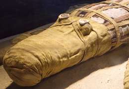 IgluCruise.Application.ViewModels.Shared.WebImageViewModel?.Description