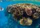 World-Class Snorkelling