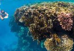 IgluCruise.Application.ViewModels.Shared.WebImageViewModel?.Description