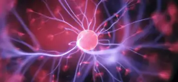 Image related to Liberty Science Center