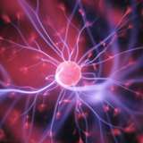 Image related to Liberty Science Center