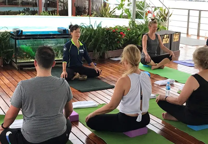 Wellness