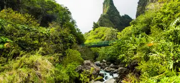 Image related to ʻĪao Valley State Monument