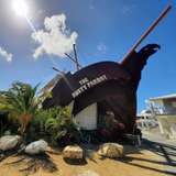 Image related to The Rusty Parrot 