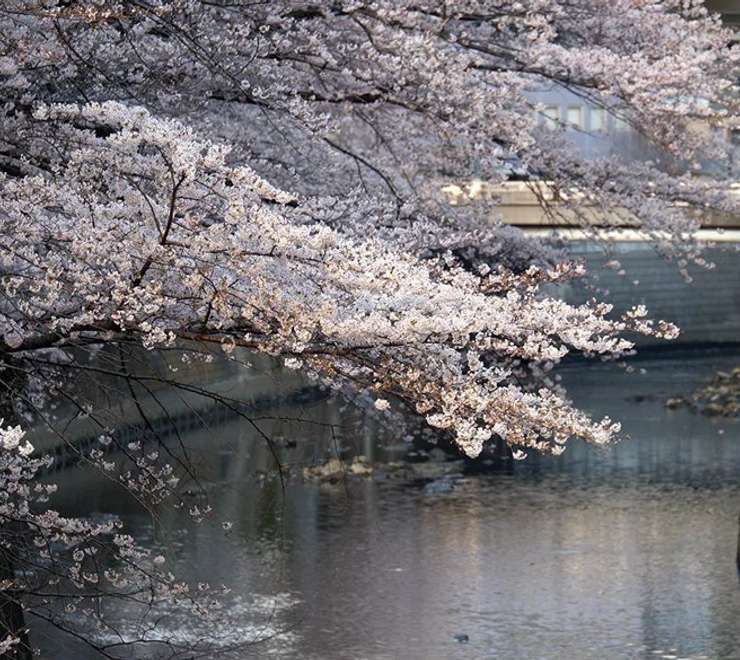 Edogawa Park
