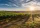 Gisborne Wine Centre 