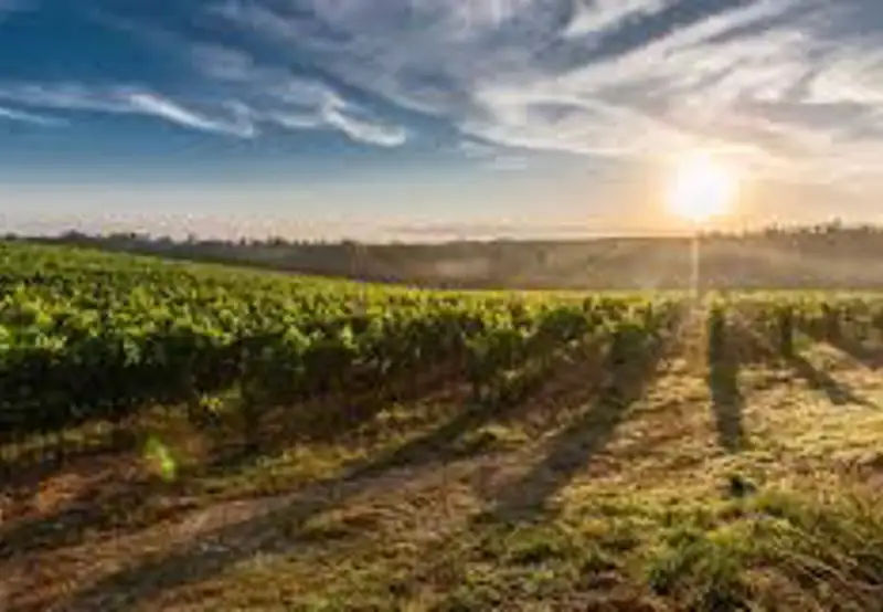 Gisborne Wine Centre 