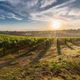 Image related to Gisborne Wine Centre 