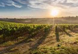 IgluCruise.Application.ViewModels.Shared.WebImageViewModel?.Description