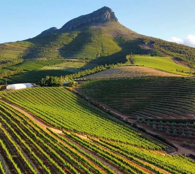 Stellenbosch