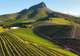 Stellenbosch
