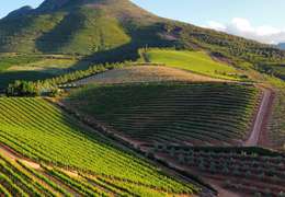 IgluCruise.Application.ViewModels.Shared.WebImageViewModel?.Description