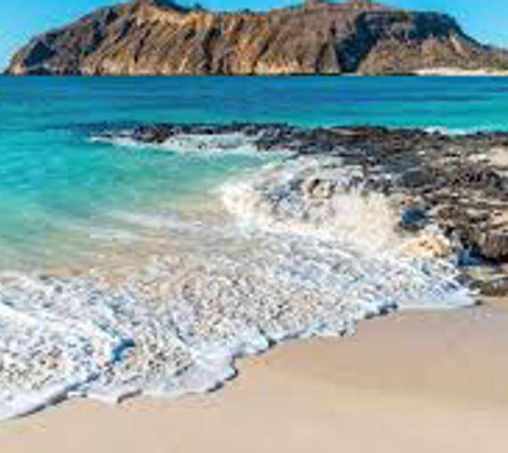 Walk in Darwin's Footsteps