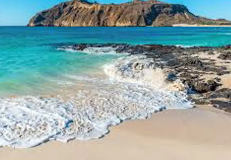 Walk in Darwin's Footsteps