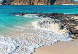 IgluCruise.Application.ViewModels.Shared.WebImageViewModel?.Description