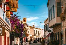 IgluCruise.Application.ViewModels.Shared.WebImageViewModel?.Description