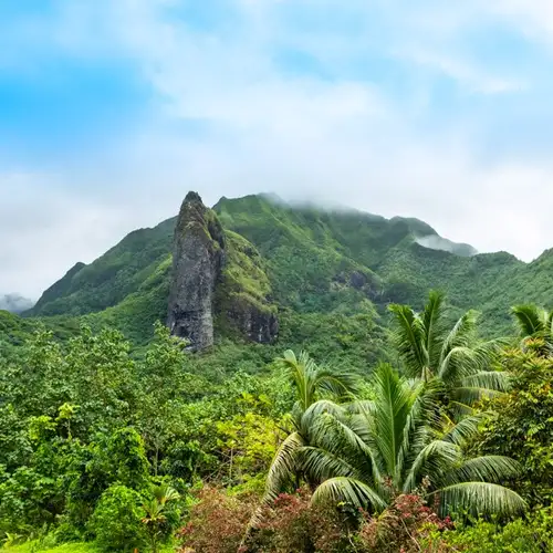 Image related to Raiatea