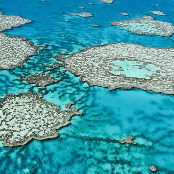Image related to Great Barrier Reef