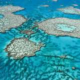 Image related to Great Barrier Reef