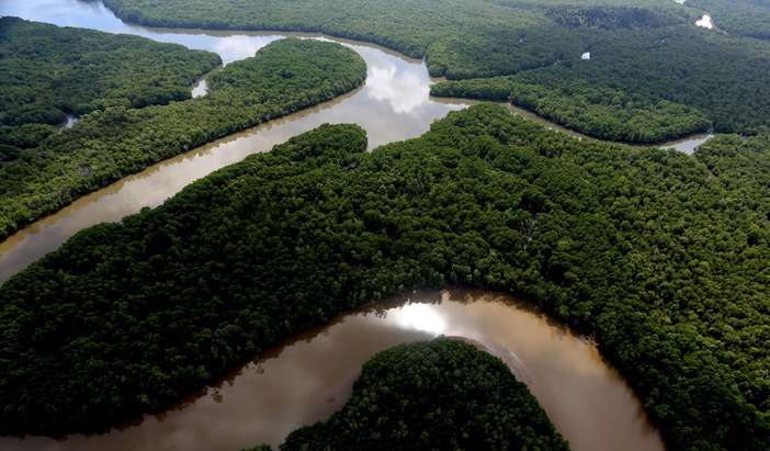 Abai Jungle Lodge Stay