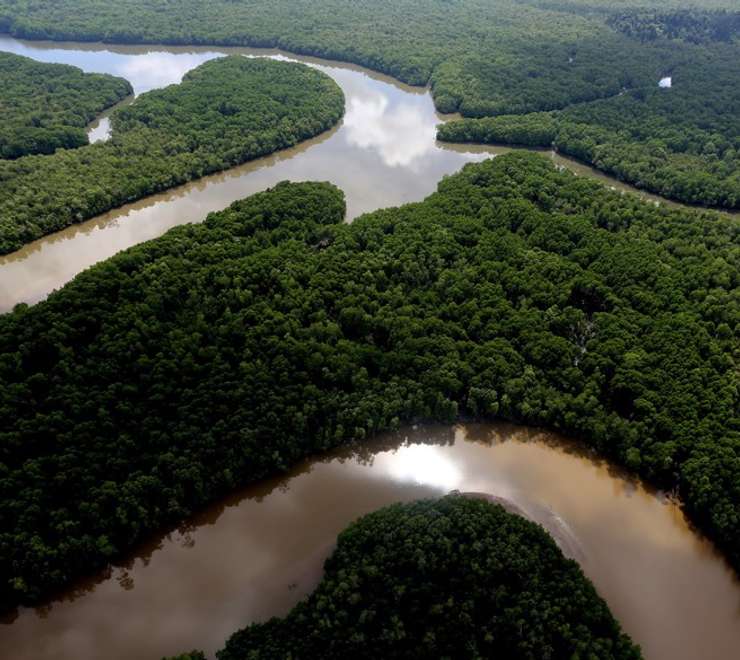 Abai Jungle Lodge Stay