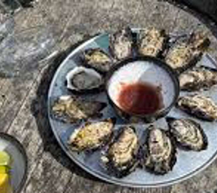 Shuck Oysters at Freycinet Marine Farm