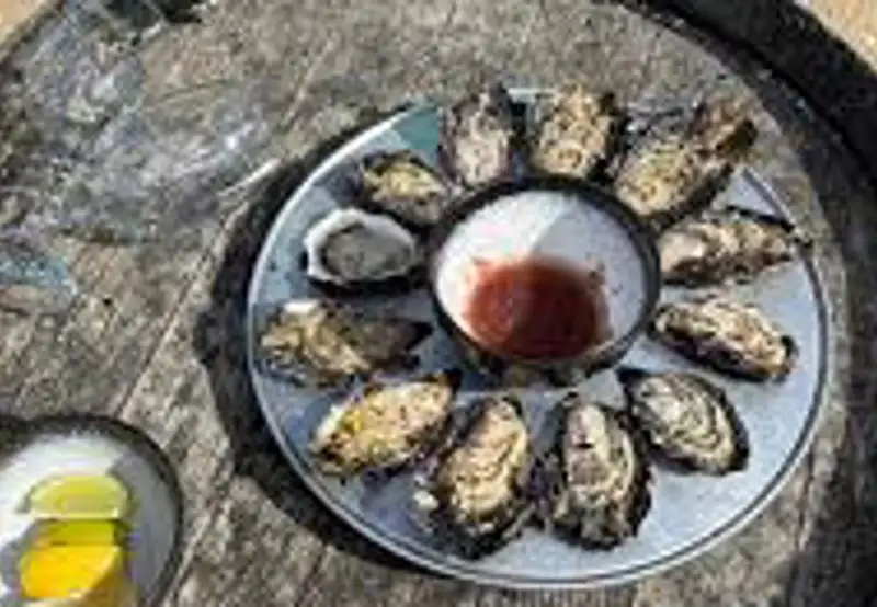 Shuck Oysters at Freycinet Marine Farm