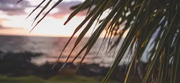 Image related to Hulihe‘e Palace