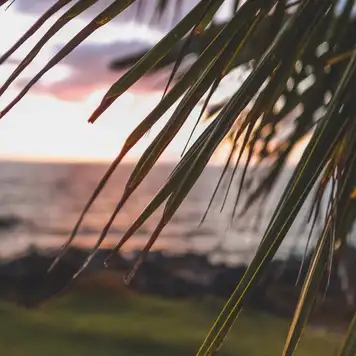 Image related to Hulihe‘e Palace