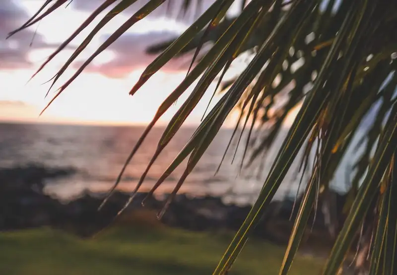 Image related to Hulihe‘e Palace