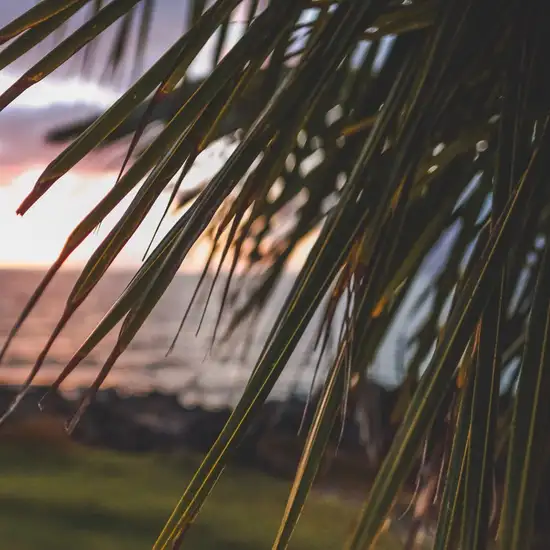 Image related to Hulihe‘e Palace