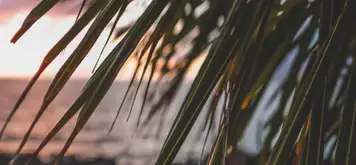 Image related to Hulihe‘e Palace