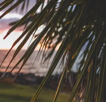 Image related to Hulihe‘e Palace