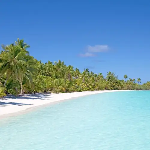 Image related to White Bay, Jost van Dyke