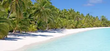 Image related to White Bay, Jost van Dyke