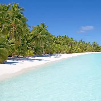 Image related to White Bay, Jost van Dyke