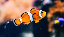 Image related to Musee du Fjord