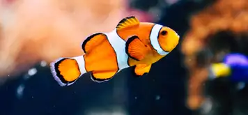 Image related to Musee du Fjord