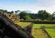 Izapa Mayan Ruins 
