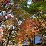 Image related to Gokanosho