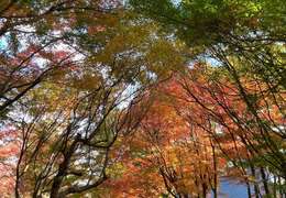 IgluCruise.Application.ViewModels.Shared.WebImageViewModel?.Description