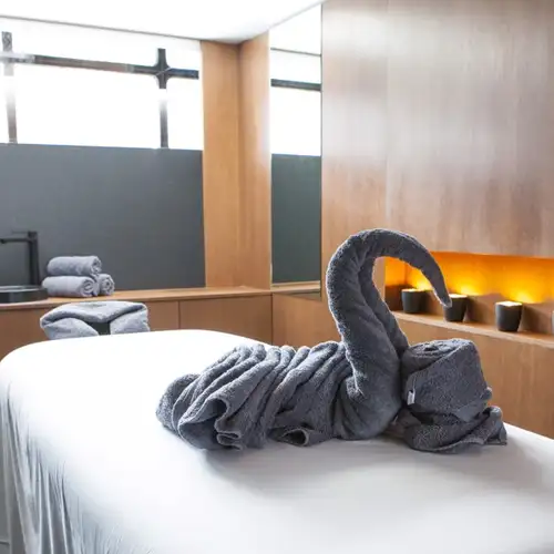 Image related to Scenic Spirit