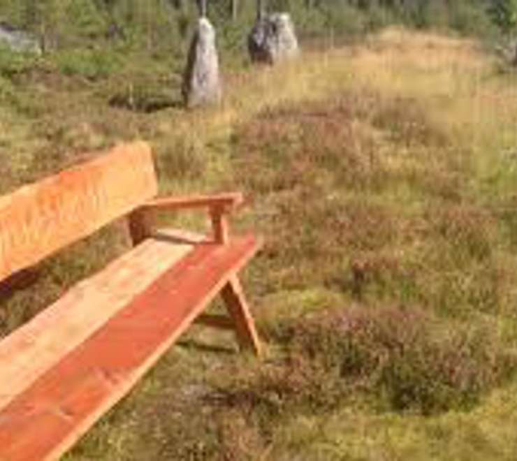 Discover Ancient Vikings