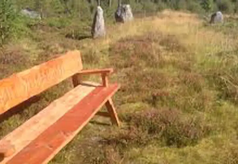 Discover Ancient Vikings