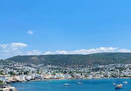 IgluCruise.Application.ViewModels.Shared.WebImageViewModel?.Description