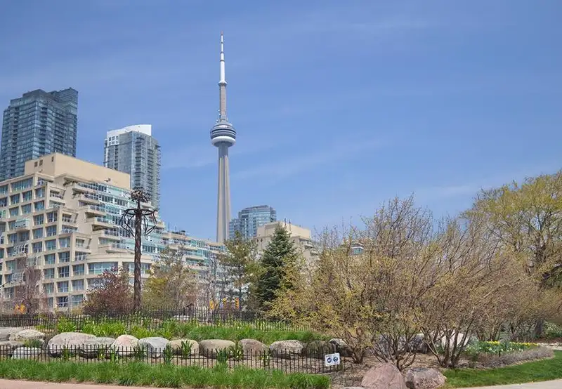 CN Tower