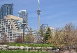 IgluCruise.Application.ViewModels.Shared.WebImageViewModel?.Description