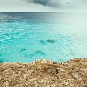 Image related to Lac Bay