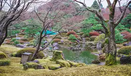 Image related to Sakaiminato