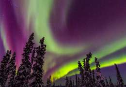 IgluCruise.Application.ViewModels.Shared.WebImageViewModel?.Description